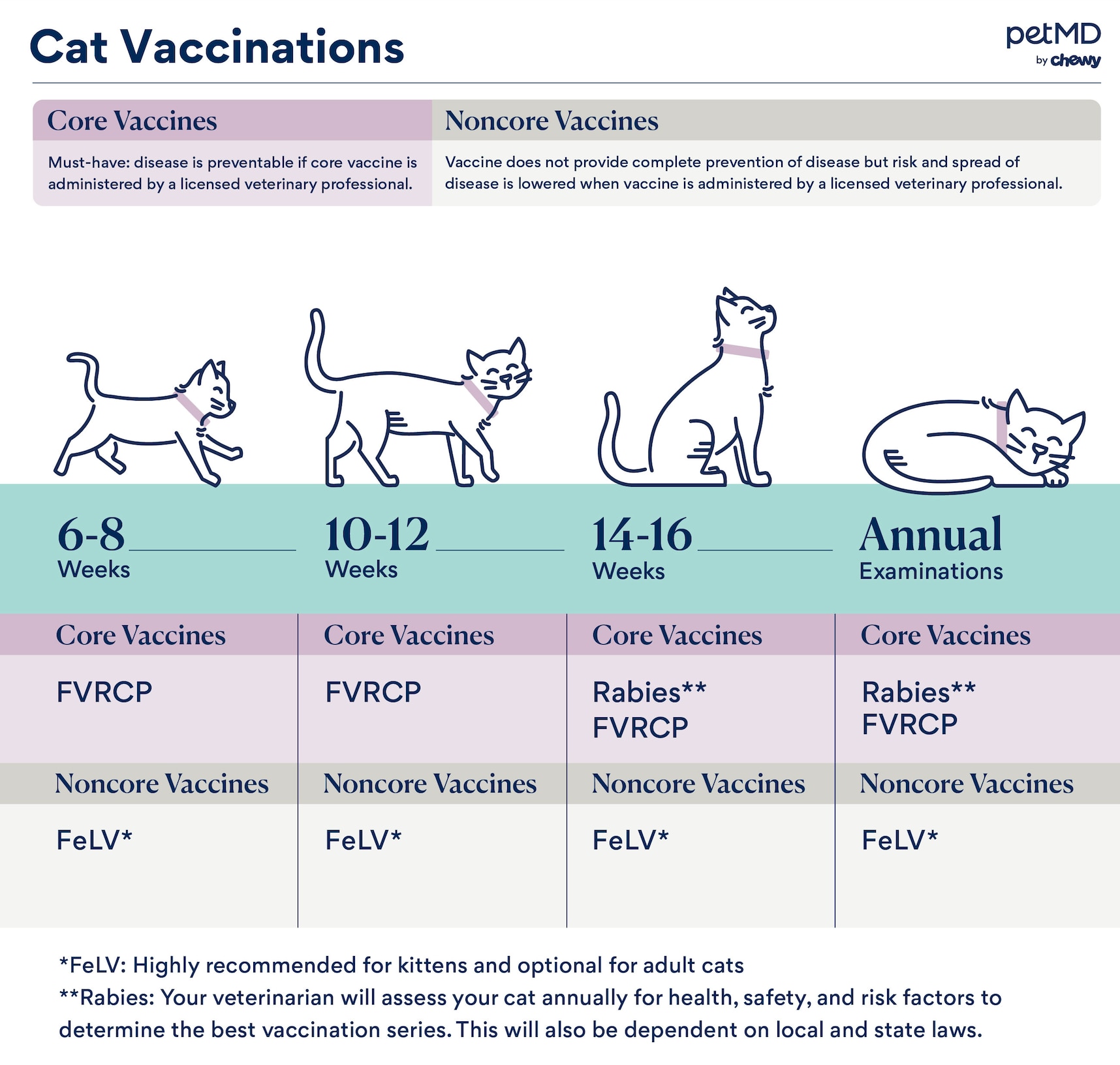 cat vaccinations; a chart detailing what type of vaccines a cat needs, and when.